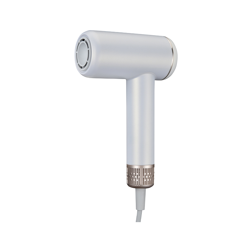 High Speed Hair Dryer AU707